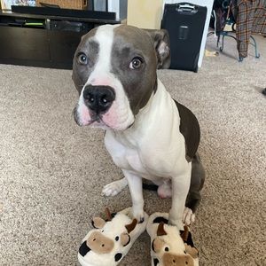 Meet your Posher, Nevaeh